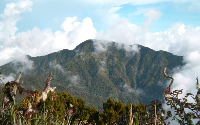 Mt. Dulang-Dulang